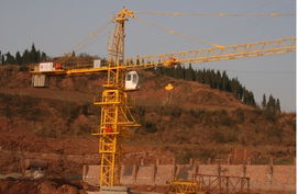 塔吊市場供需動態 銷售、求購與貿易信息綜合分析