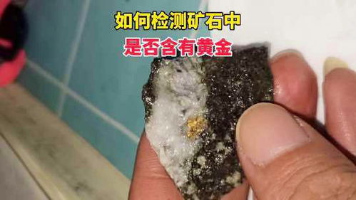 如何檢測(cè)礦石中是否含有黃金