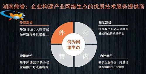 二十年網(wǎng)絡(luò)營(yíng)銷實(shí)戰(zhàn)專家談 國(guó)內(nèi)企業(yè)網(wǎng)絡(luò)營(yíng)銷推廣的“道、法、術(shù)”